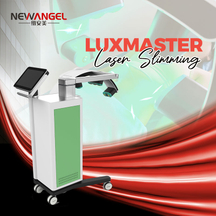 532nm Wavelength 10D Laser Machine Green Light Fat Loss Body Slimming