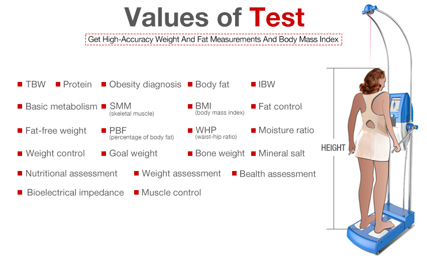 Best And Accurate Body Composition Analysis For Gym 