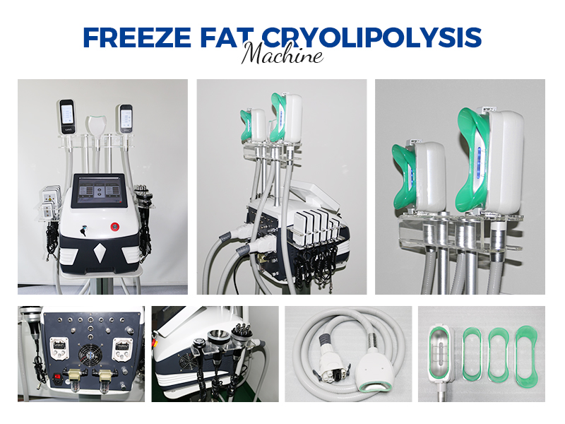 Cryolipolysis Machine Freeze Fat 360 Body Shaping Beauty Slimming ETG80S