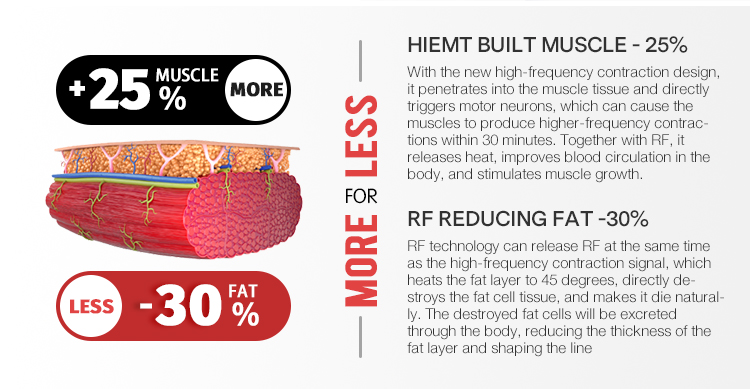 Ems RF Slimming Machine Abdominal Muscles Building Abs EMS RF 2 In 1 Machine