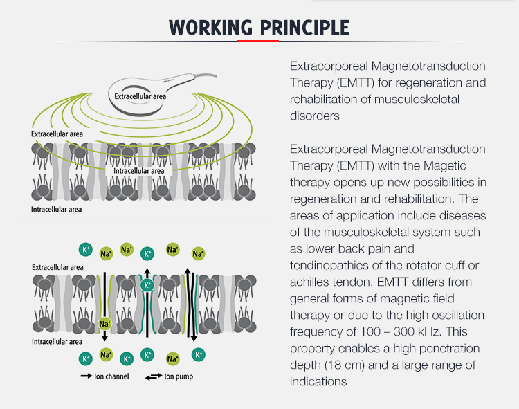 Extracorporeal Magnetic Transduction Emtt Musculoskeletal Pain Magnetic Therapy Device