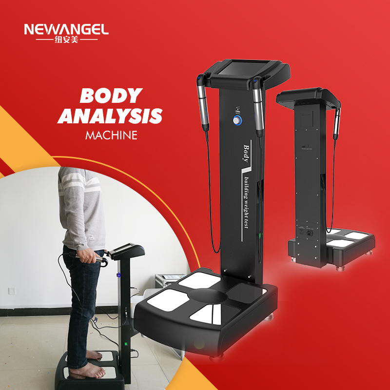 Body Fat Bioimpedance Analyzer Professional Cheapest Manufacturer Gym Health Weight Analysis for Sale