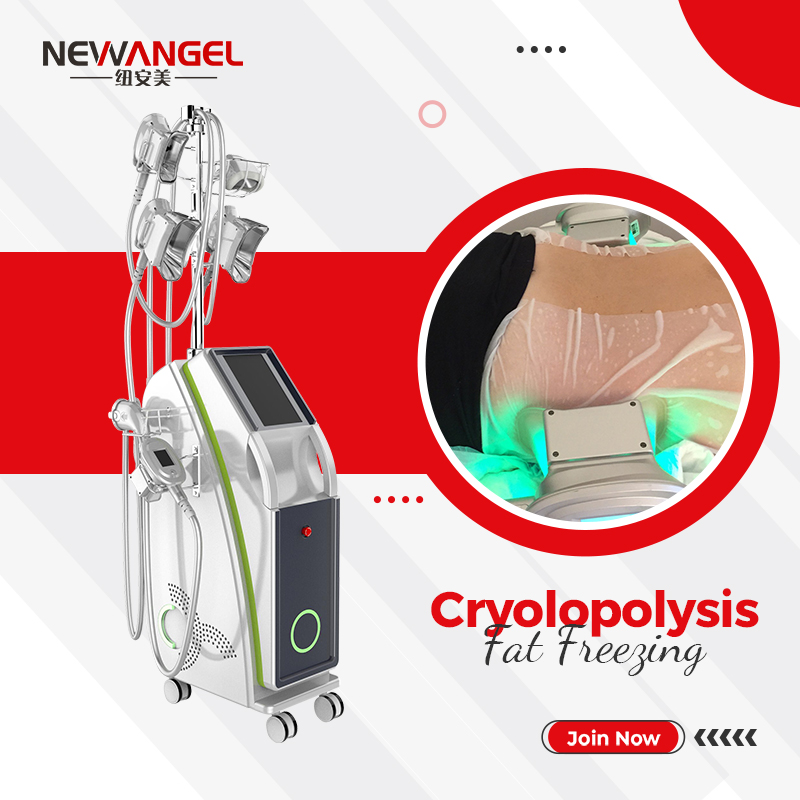 Newangel Cryolipolysis Machine for Salon And Clinic ETG50-6S