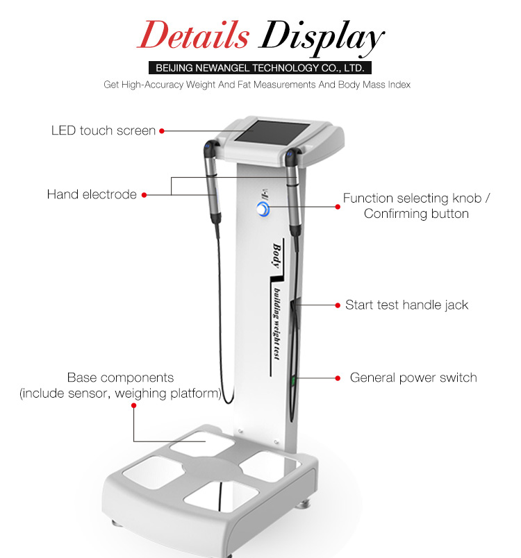 body composition analyzer machine details display