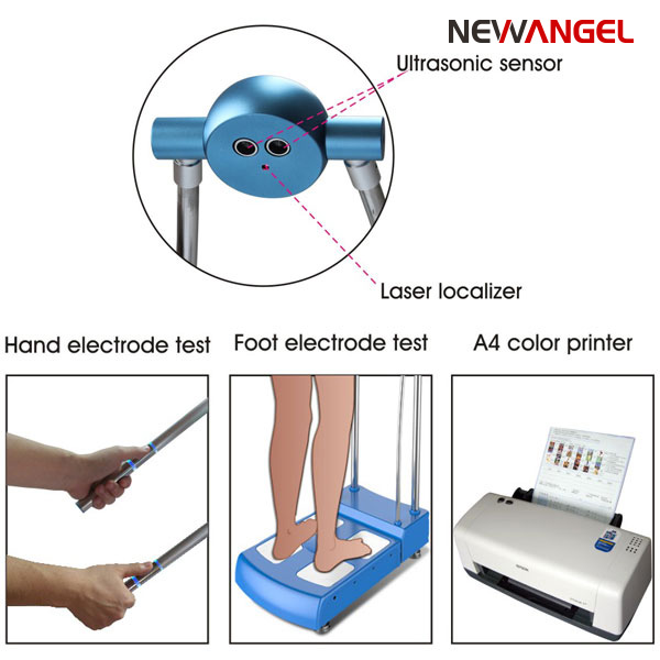 Professional body composition analyzer best multi frequency
